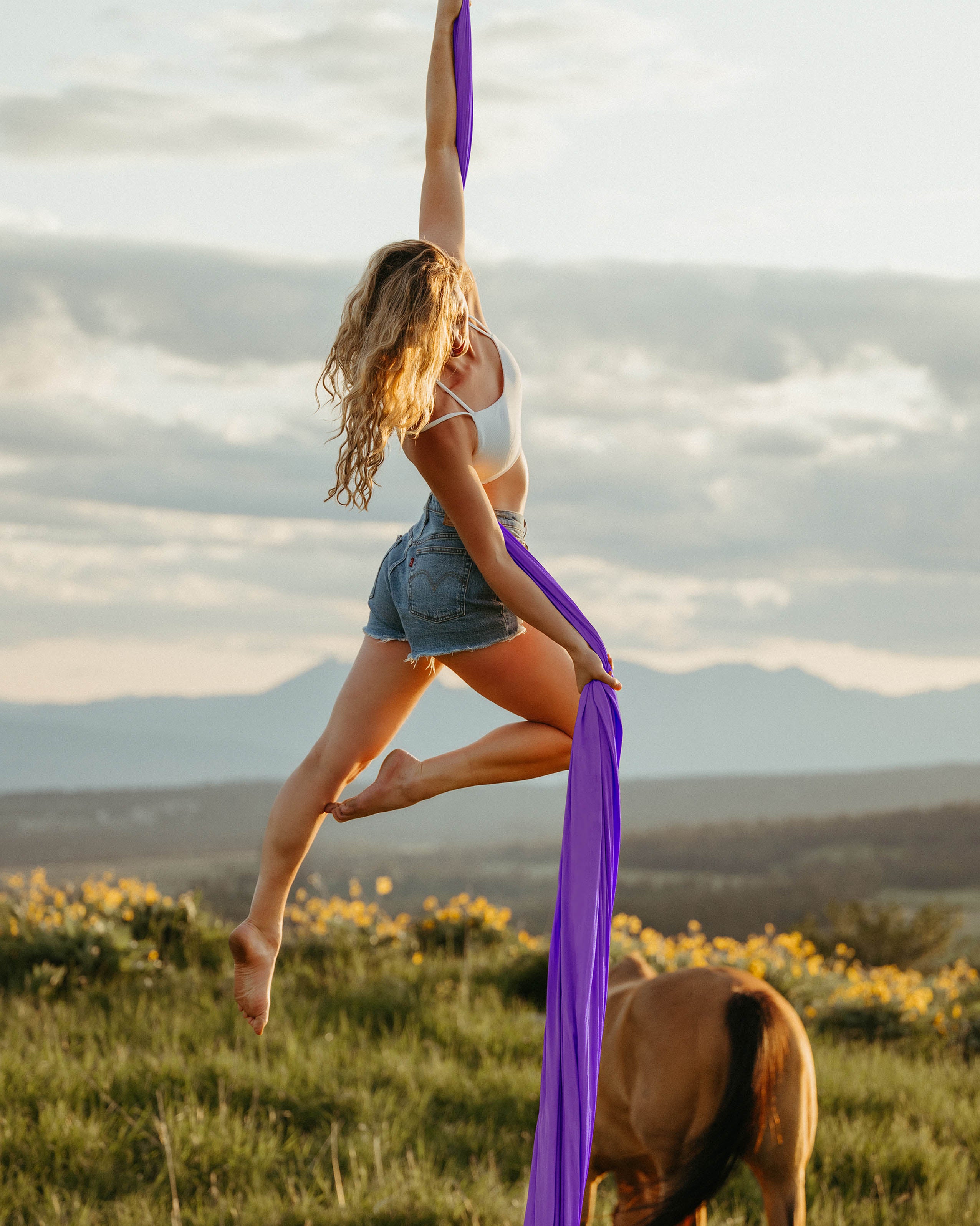 Aerial Silks Sets