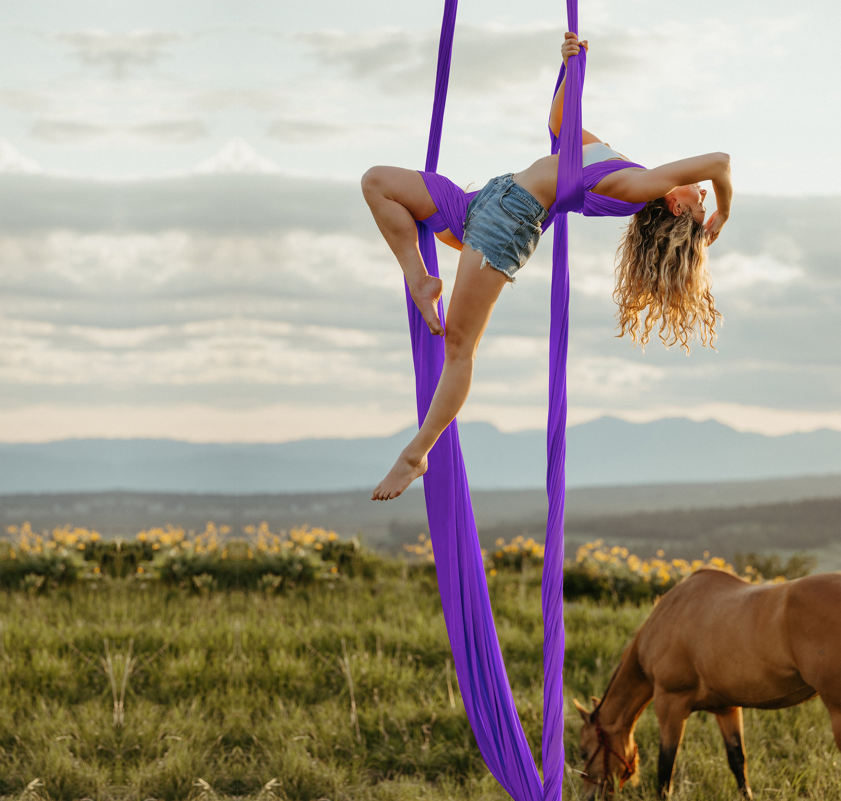 Woman doing aerial silks in farm field with purple aerial silks